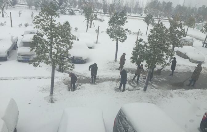 不畏严寒扫雪忙