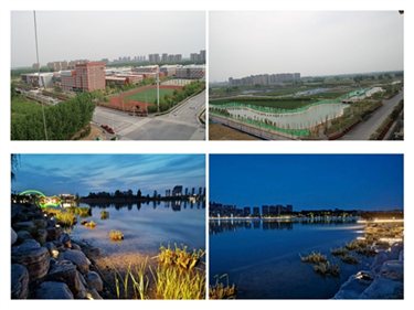 IMG_9784_副本